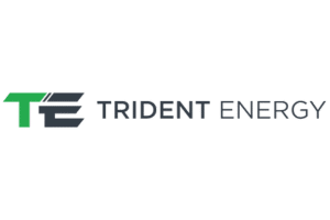 Logo Tidente Energy - Safety Master