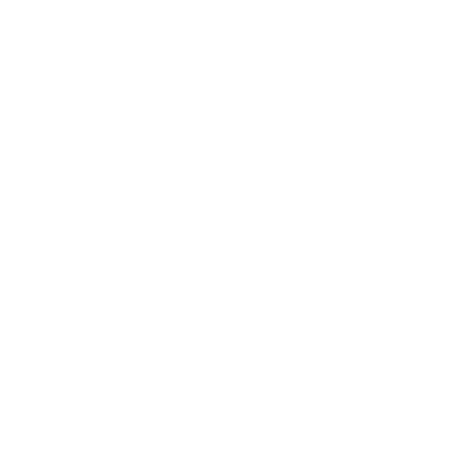 Ícone Missão - Safety Master