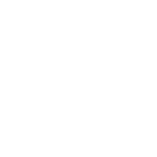 Ícone Valores - Safety Master