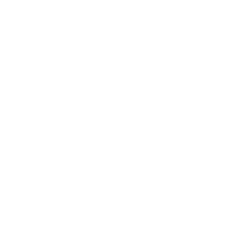 Ícone Visão - Safety Master